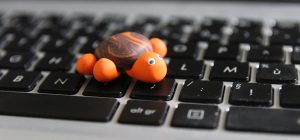 tortue_clavier